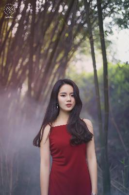 白月梵星电视剧在线观看全集免费播放