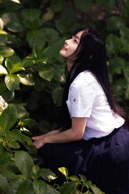 大秦赋全集在线观看免费完整版