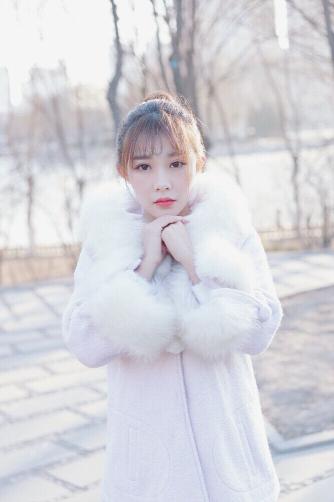 成全在线观看免费观看全集