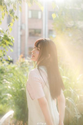 半是蜜糖半是伤免费观看全集完整版