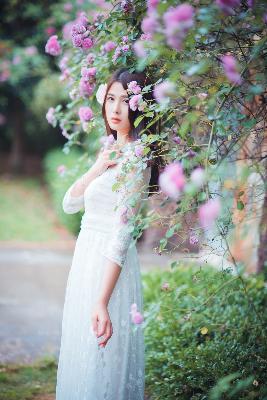 沉默的真相演员表