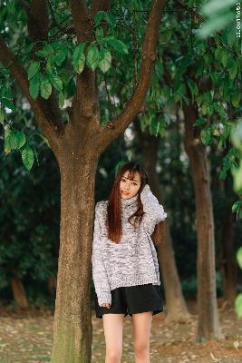 陈飞宇个人资料