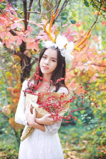 樱花动漫官方官网入口