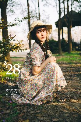 电视剧在线观看