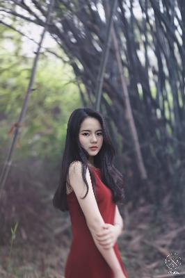 陈情令电视剧免费观看完整版高清