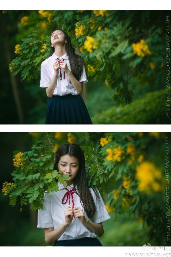 珠帘玉幕电视剧免费观看完整版