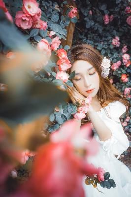 宴遇永安电视剧免费观看全集完整版